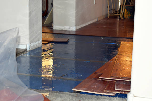 Professional Sewage Cleanup technician working in Foreston, MN
